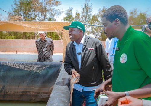 672167143_1369675571869691_270275219271359640_n